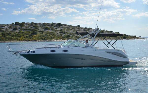 Sea Ray 275 Amberjack 1000 VD